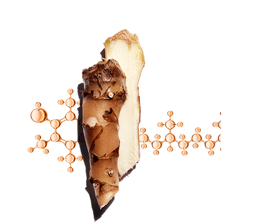 ประสิทธิภาพสองเท่าจากสารสกัด Ginger Lily + Vitamin E เพื่อช่วยปกป้องผิวจากภาวะอนุมูลอิสระไม่สมดุล สัญญาณแห่งวัยและการสูญเสียความกระจ่างใส